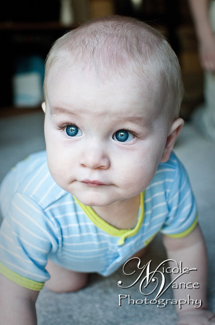 Richmond Baby Photographer | Nicole Vance Photography