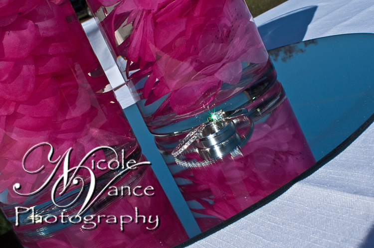 Richmond Wedding Photographer | Nicole Vance Photography (148)