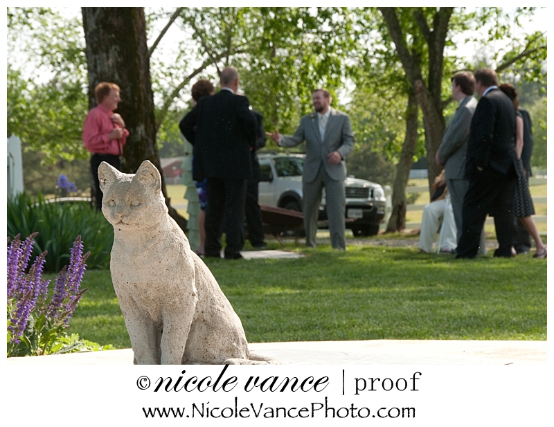 Richmond Wedding Photographer | Nicole Vance Photography (10)