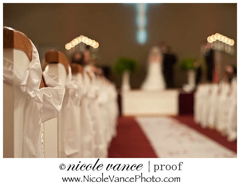 Richmond Wedding Photographer | Nicole Vance Photography (52)