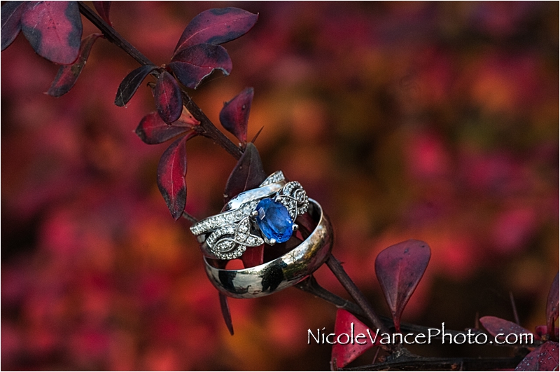 Richmond Wedding Photographer | Nicole Vance Photography | Mill at Fine Creek Wedding Photographer (98)