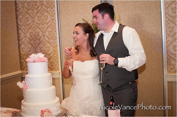 richmond weddings, richmond wedding photographer, wedding details, Nicole Vance Photography, Wyndham Virginia Crossings, reception, toast, cake