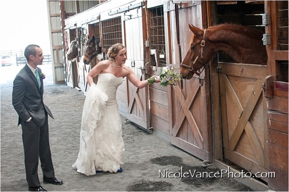 Nicole Vance Photography, Waynesboro Photographer, Stable Wedding, Hermitage Hill Wedding, equine wedding