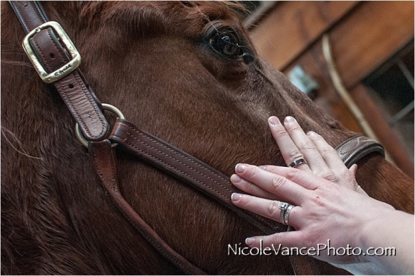 Nicole Vance Photography, Waynesboro Photographer, Stable Wedding, Hermitage Hill Wedding, ring shot, horses