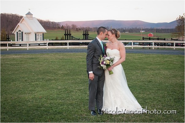 Nicole Vance Photography, Waynesboro Photographer, Stable Wedding, Hermitage Hill Wedding, 