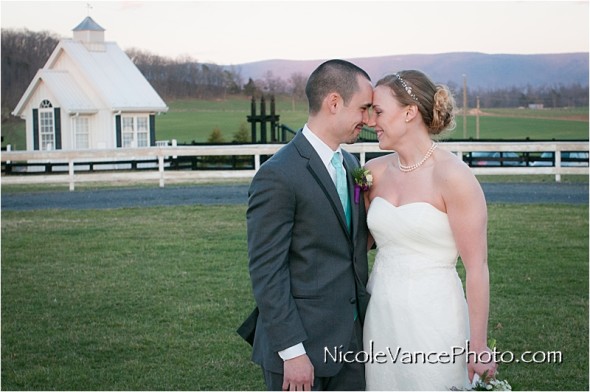 Nicole Vance Photography, Waynesboro Photographer, Stable Wedding, Hermitage Hill Wedding, 