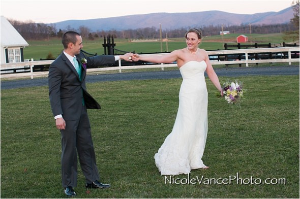 Nicole Vance Photography, Waynesboro Photographer, Stable Wedding, Hermitage Hill Wedding, 