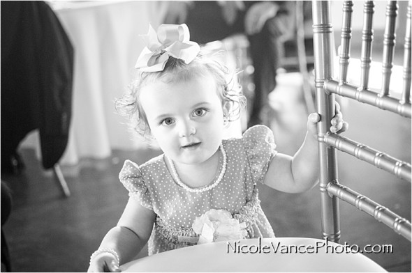 Nicole Vance Photography, Waynesboro Photographer, Stable Wedding, Hermitage Hill Wedding,