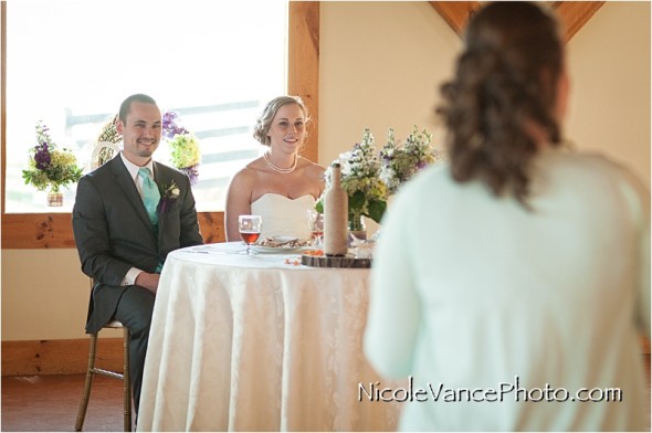 Nicole Vance Photography, Waynesboro Photographer, Stable Wedding, Hermitage Hill Wedding, toast