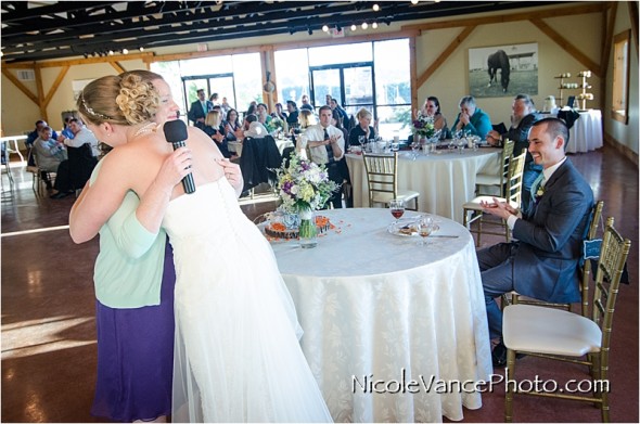 Nicole Vance Photography, Waynesboro Photographer, Stable Wedding, Hermitage Hill Wedding, toast