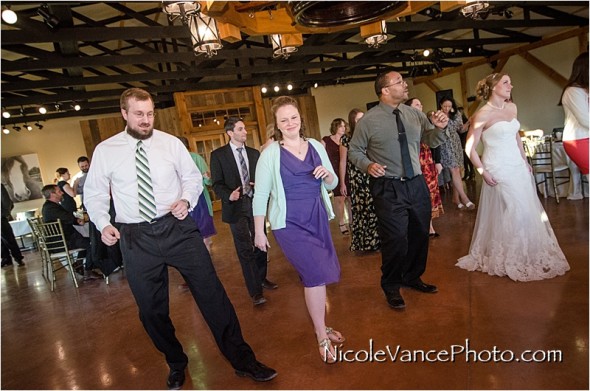 reception, Nicole Vance Photography, Waynesboro Photographer, Stable Wedding, Hermitage Hill Wedding,