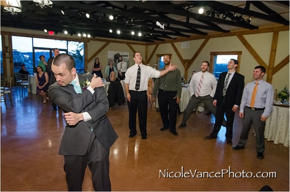 Nicole Vance Photography, Waynesboro Photographer, Stable Wedding, Hermitage Hill Wedding, reception