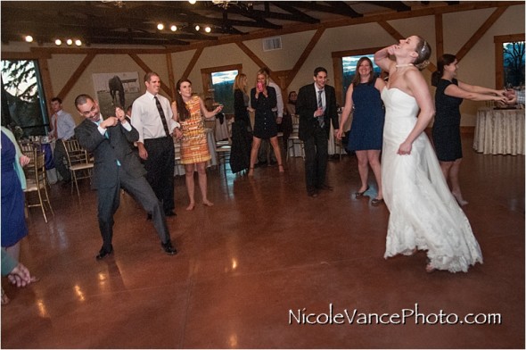 Nicole Vance Photography, Waynesboro Photographer, Stable Wedding, Hermitage Hill Wedding, reception