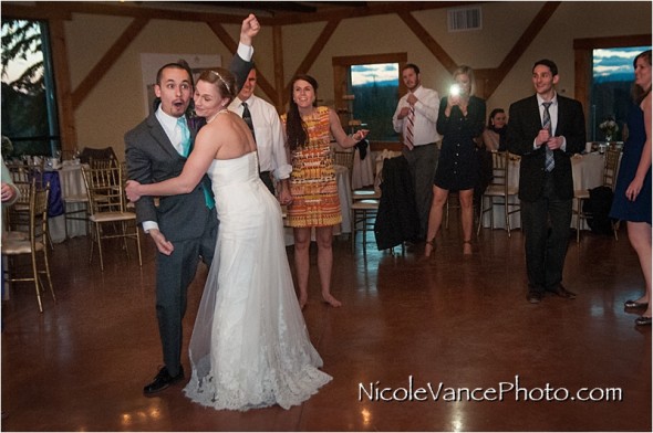 Nicole Vance Photography, Waynesboro Photographer, Stable Wedding, Hermitage Hill Wedding, reception