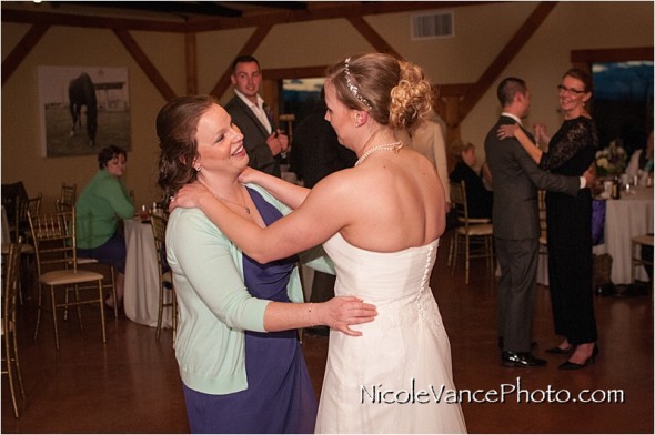 Nicole Vance Photography, Waynesboro Photographer, Stable Wedding, Hermitage Hill Wedding, reception