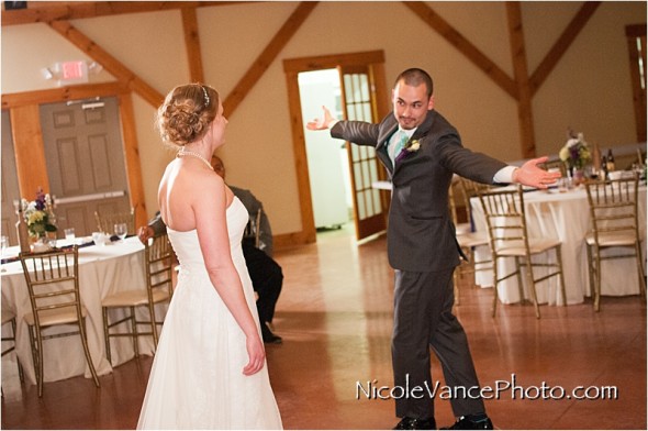 Nicole Vance Photography, Waynesboro Photographer, Stable Wedding, Hermitage Hill Wedding, reception