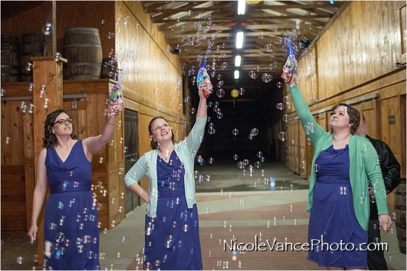 Nicole Vance Photography, Waynesboro Photographer, Stable Wedding, Hermitage Hill Wedding, reception, bubbles, bubble exit