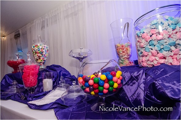 Historic Mankin Mansion, Nicole Vance Photography, Richmond Weddings, reception, candy bar, details