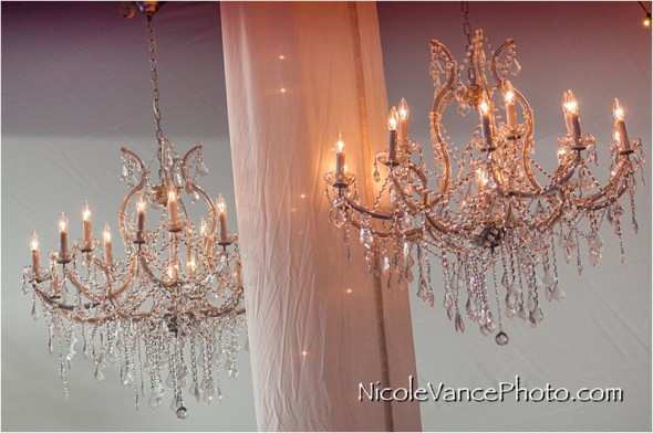 Historic Mankin Mansion, Nicole Vance Photography, Richmond Weddings, reception, chandelliers, details