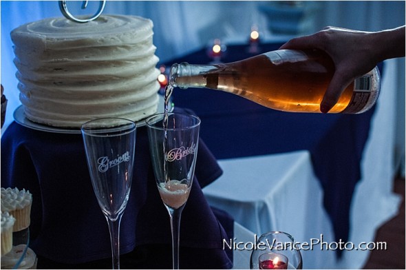 Historic Mankin Mansion, Nicole Vance Photography, Richmond Weddings, reception, toasts, details