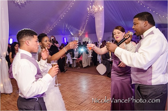Historic Mankin Mansion, Nicole Vance Photography, Richmond Weddings, reception, toasts