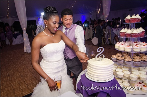 Historic Mankin Mansion, Nicole Vance Photography, Richmond Weddings, reception, cake cutting