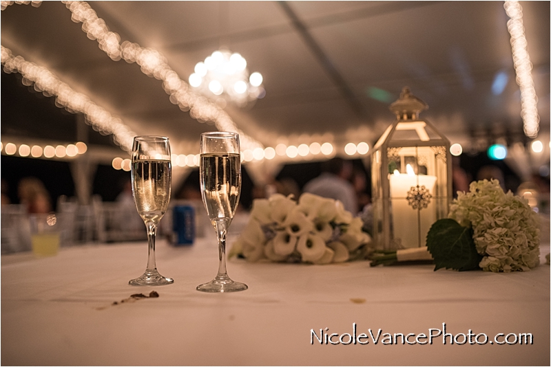 Celebrations at the Reservoir Wedding, Celebrations Wedding Photographer, Nicole Vance Photography