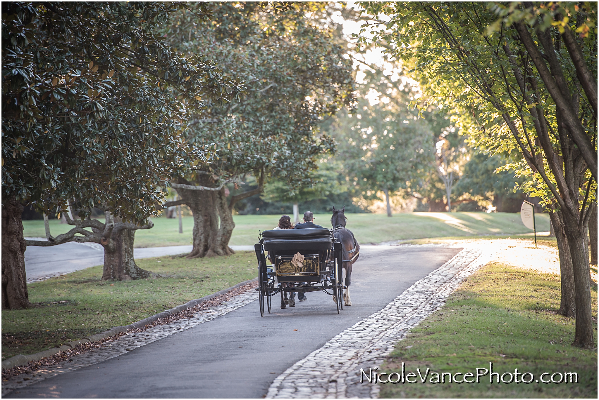 The newlyweds enjoy a carriage ride around the park together directly after their wedding at Maymont Park.