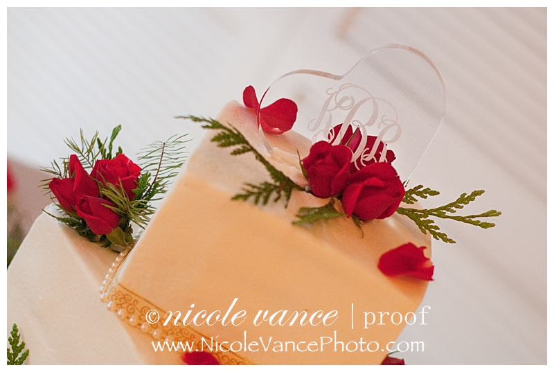 Nicole Vance Photography | Richmond Wedding Photography (29)